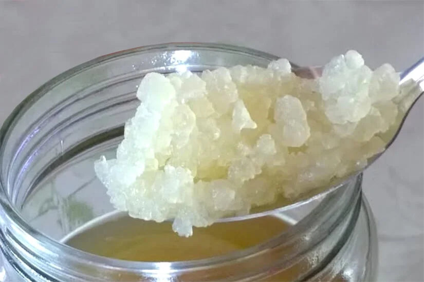 kefir de Agua