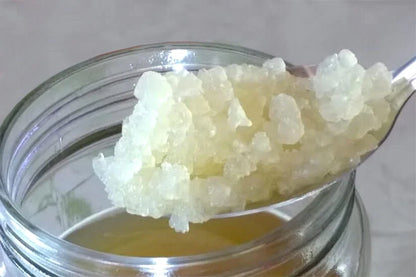 kefir de Agua